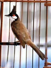 f6.JPG (16824 bytes)