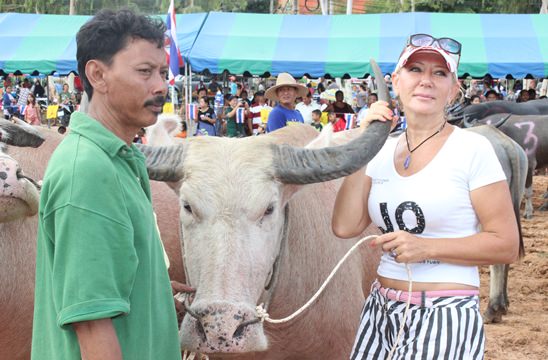 Nongprue Buffalo racing 2014