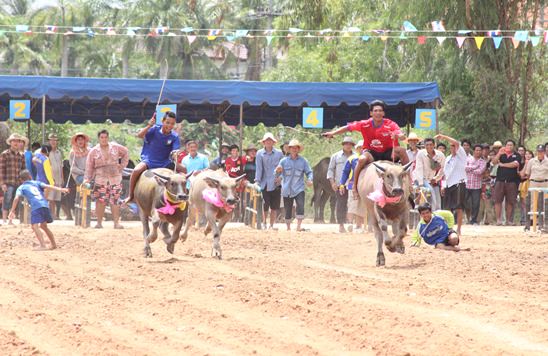 Nongprue Buffalo racing 2014