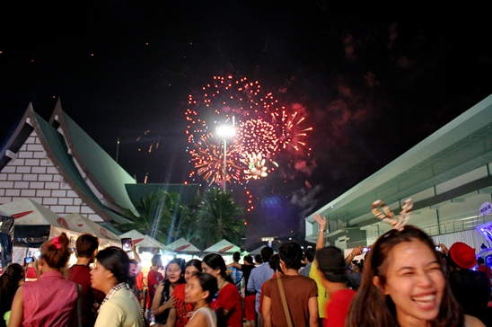 Happy New Year 2013