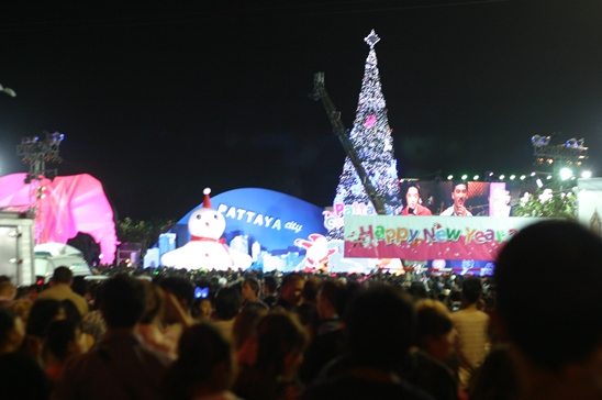 Happy New Year 2013