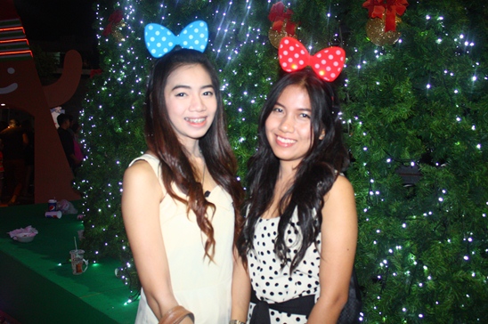 Happy New Year 2013