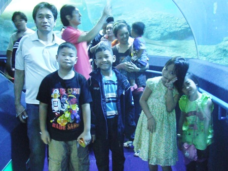 Youngsters are amazed at the creatures above them during Children’s Day at Underwater World.