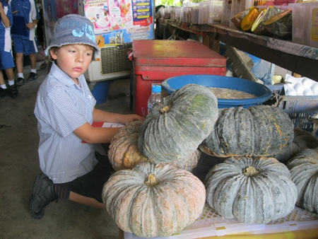 Checking out the local produce. 