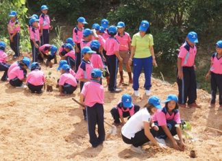 Youngsters help Banglamung District Chief Sakchai Taengho and staff of the East Water Group plant tree saplings to mark Preservation and Development of Nationwide Rivers and Canals Day.