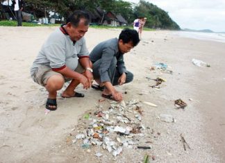 Officials at Mae Rampung Beach in Rayong are blaming the recent oil spill for the mass fish die-off in the area.