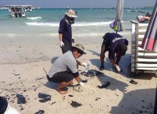 Rescue workers clean up oil deposits from at Koh Larn’s Tawan Beach.