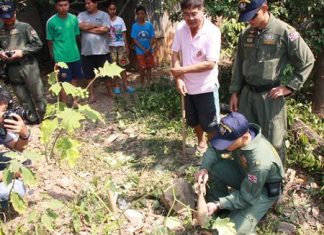 60-year-old Thongdee Truangdon (standing, 2nd left) found, in his garden, an American mortar round which had already been expended.