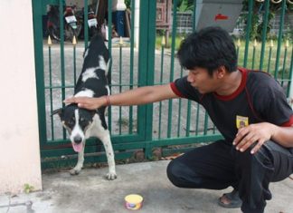 3-year-old Jojo was impaled are he got out of the house and tried to jump the fence.