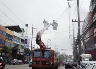 Pattaya Provincial Electricity Authority workers clean Pattaya power lines to prevent outages and fires during rainy season.