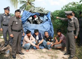 Police said the thieves stole the motorcycles from Pattaya-area apartments and condos and loaded them into a pickup truck where they were covered with a tarp and taken to a cassava field for storage.