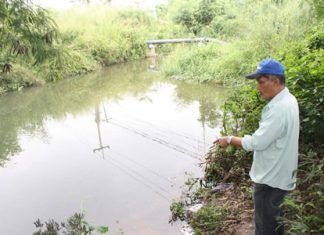 A villager points to the area where he and others spotted 3 crocodiles.