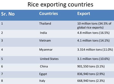 largest exporter of rice