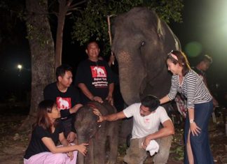 Many people came to see the newborn, which was displayed under the watchful eye of Mother Oyjai.