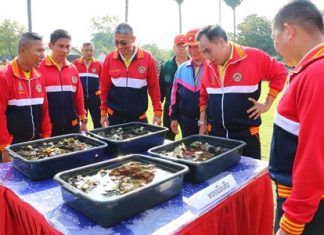 Top naval brass prepare to release giant clams off Toey Ngarm Beach in honor of HM the King’s birthday.