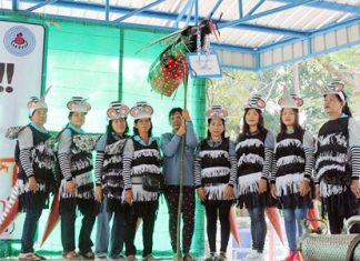 Banglamung women dress in mosquito costumes to spread word about how to try and avoid dengue fever.