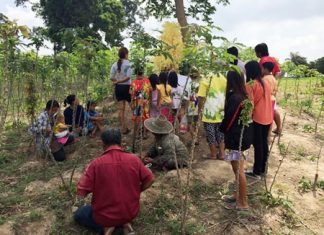 Times are tough - people trample a local woman’s cassava crops every day in hopes this yellow colored bush will somehow reveal winning lottery numbers.