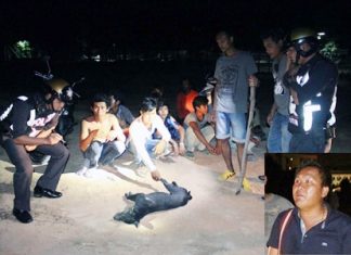 Tawat Pinyibyok (inset) and several building workers were arrested and charged with animal cruelty.