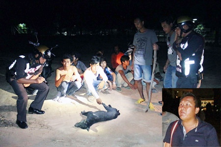 Tawat Pinyibyok (inset) and several building workers were arrested and charged with animal cruelty.