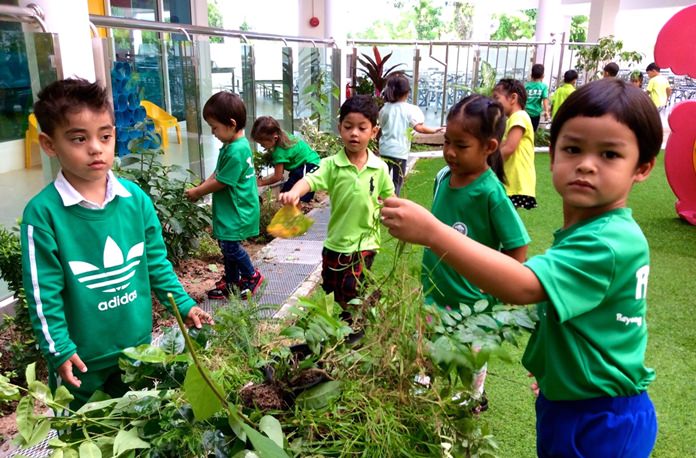 Students pull out a lot of weeds and dead plants to clean up the playground.