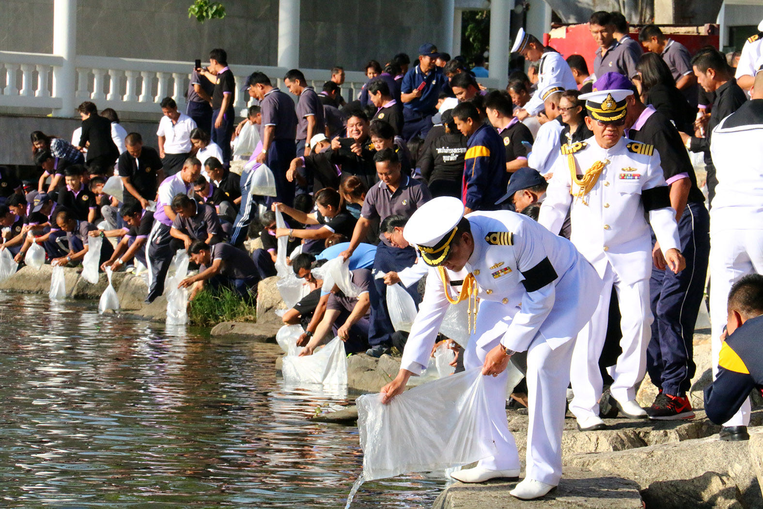 Sailors at the Sattahip Naval Base released 40,000 fish.