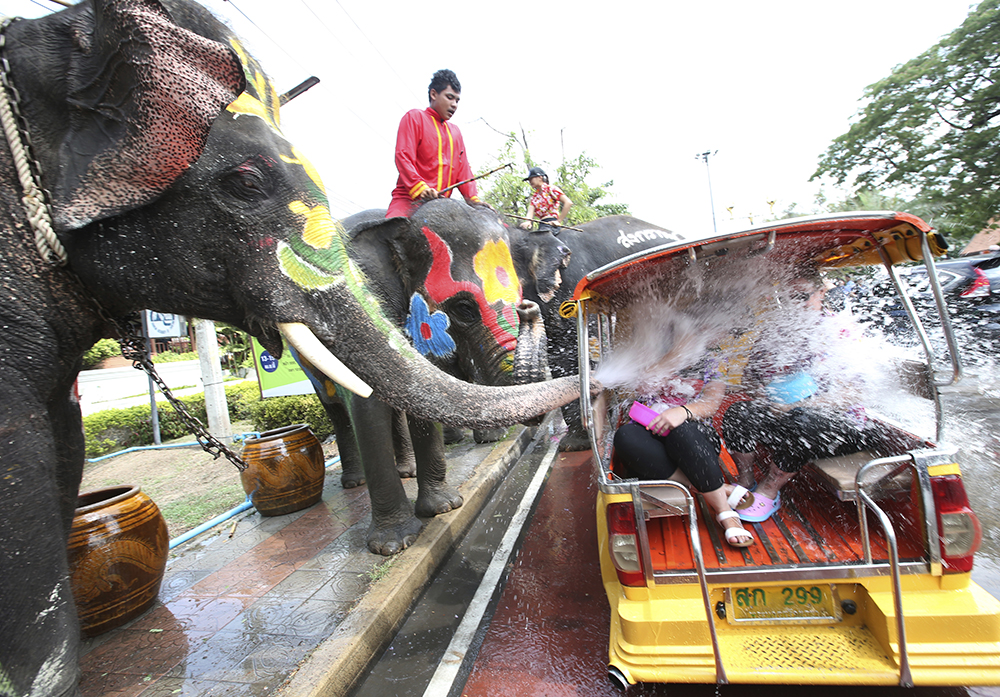 Elephants spray water at tourists on a Tuk Tuk in Ayutthaya province, central Thailand. (AP Photo/Sakchai Lalit)