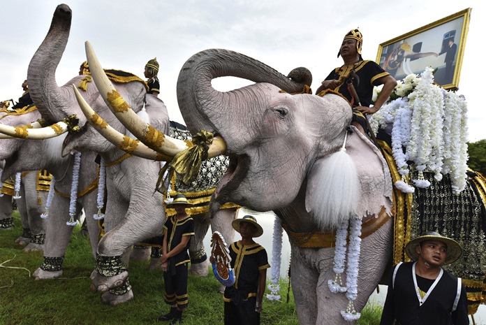 Elephants doused in powder to appear an auspicious white, stand to attention and trumpet at a ceremony to mark one year since HM the late King Bhumibol Adulyadej’s death Friday, Oct. 13, 2017, in the ancient royal capital Ayutthaya, Thailand. Throughout the Kingdom, mourners fell silent for 89 seconds from 3.52 p.m., marking the official time of Bhumibol’s death in what Thailand’s Buddhist culture recognized as his 89th year. (AP Photo)