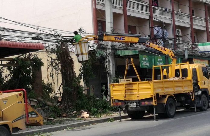 Pattaya workers prune trees on South Road to prevent power outages and fires.