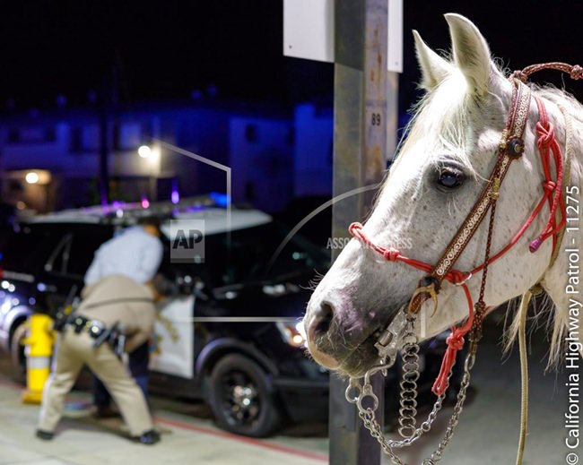 (California Highway Patrol, Santa Fe Springs via AP)