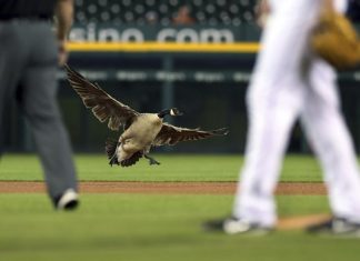 (AP Photo/Carlos Osorio)