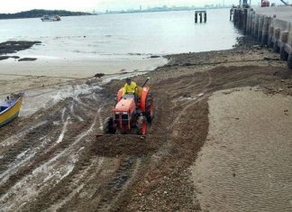 Pattaya cleaned up the beachfront in front of Koh Larn’s fishing pier to prevent damage to small boats.