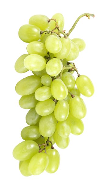 Viognier grapes.