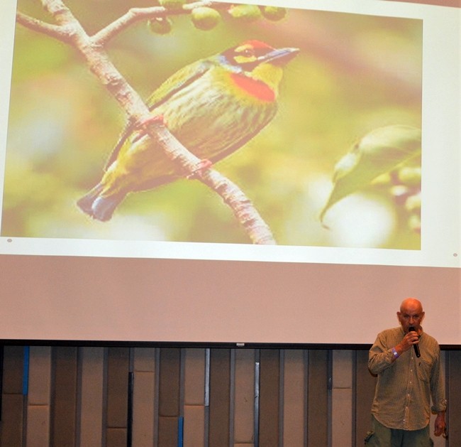 Many slides such as this one were shown by Jonathan Finch while he described their specific traits such as color, bill, and tail needed to identify a particular type of bird.