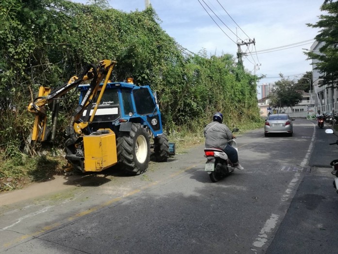 Trees and bushes are trimmed in SoiPaniad Chang.