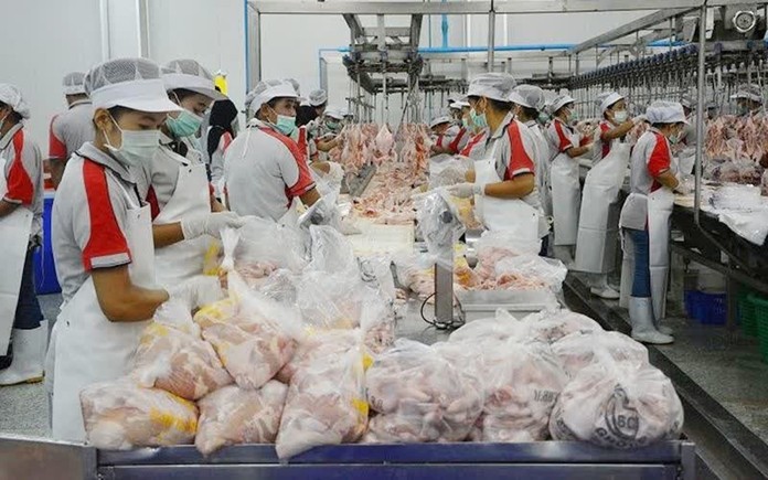 Thai chicken exporters have bright future - Pattaya Mail