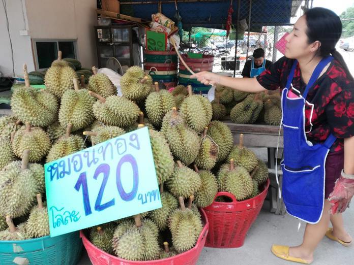 The first of this year’s durian crop were sold on Soi Khopai at 120 baht each, with people eagerly snapping up the smelly fruit.