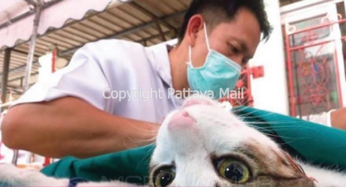 Pattaya City has announced their mobile pet care units events for June.