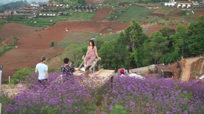 Mon Chaem mountain in Mae Rim district of Chiang Mai was welcoming visitors who were attracted to its temperate flower zone.
