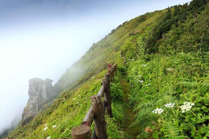 Chiang Mai highest peak ‘Doi Inthanon’ temperature drop fascinates ...