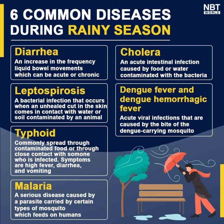 essay about common diseases during the rainy season