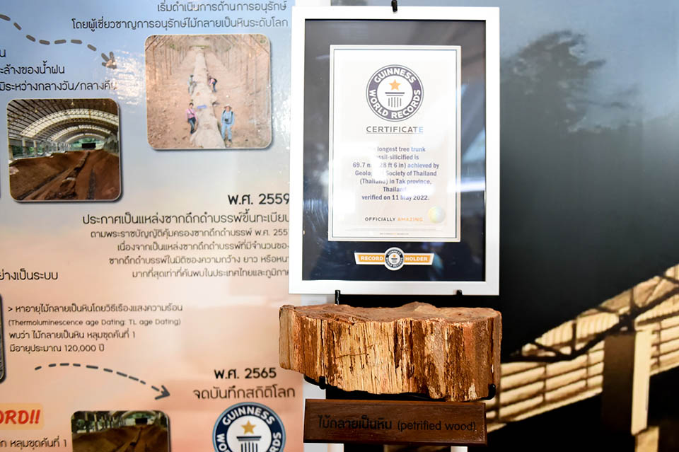 Thailand APM Prawit views world s longest piece of petrified wood