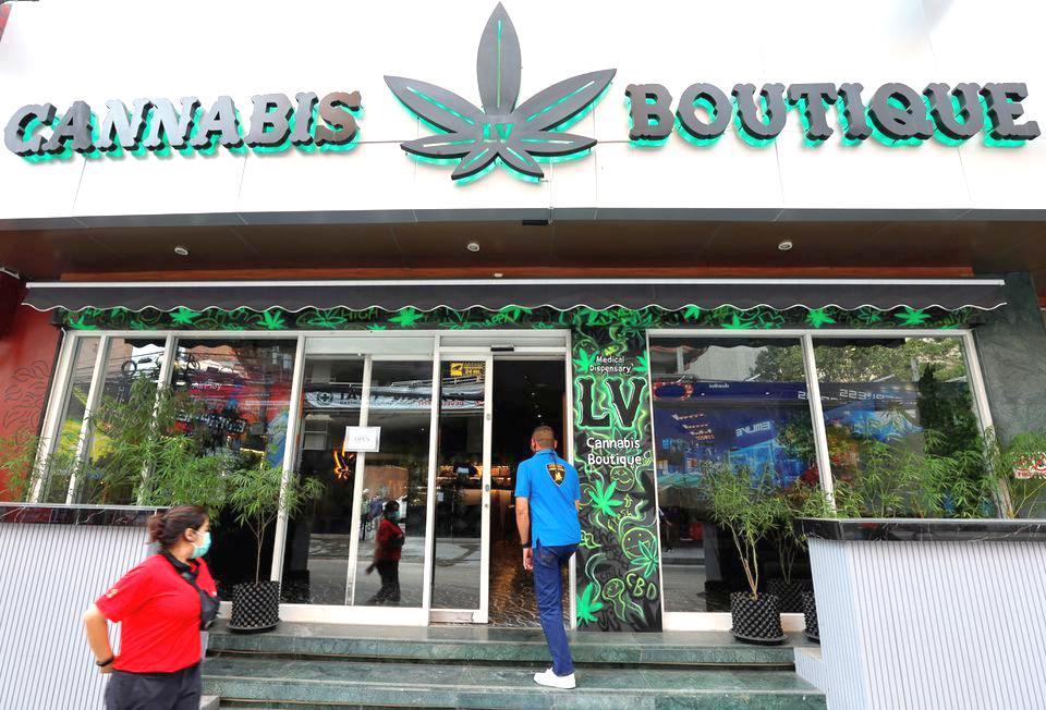 Cannabis Backpedalling In Thailand Reflects General Election Woes 