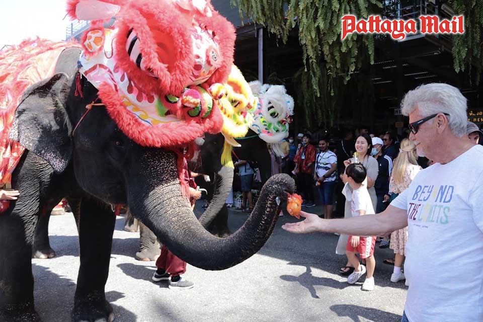 White elephant mascot, pachyderm costume, zoo costume