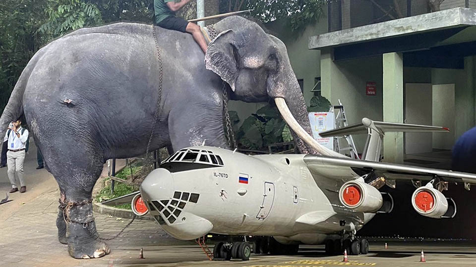 Thai elephant ‘Plai Sak Surin’ refreshed after long journey home from