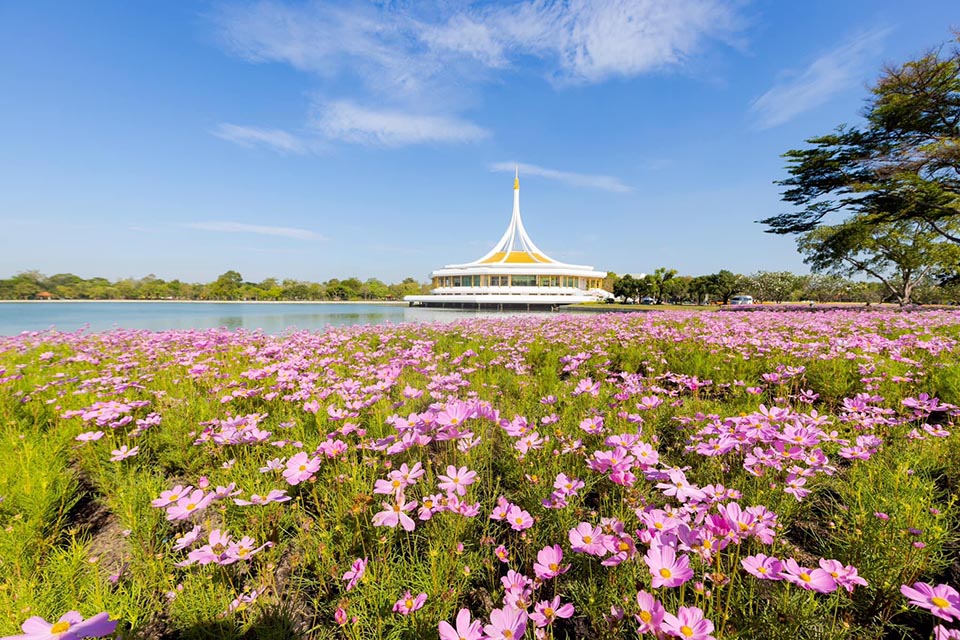 ‘Beautiful Flora in the Suan Luang Rama IX Park Fair 2023’ until Dec 10 ...